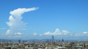 堺市で「特養」を待機中の方へ。有料老人ホームとどちらが現実的な選択か？